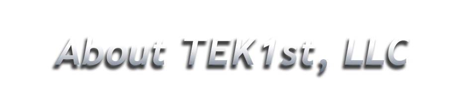 TEK 1st, LLC IT Consulting Services