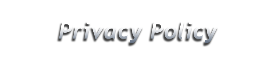 TEK 1st, LLC IT Consulting Services Privacy Policy