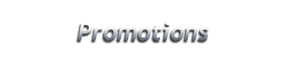 TEK 1st, LLC IT Consulting Services, Promotions
