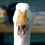 Doug Gilreath with Aflac Insurance